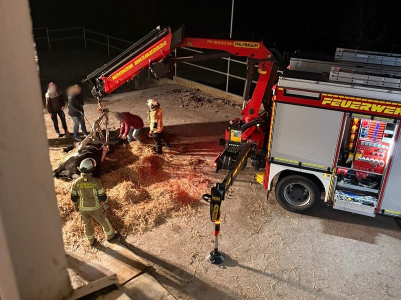 FW Menden: Feuerwehr unterstützt bei Rettung eines gestürzten Pferdes - Foto: presseportal.de