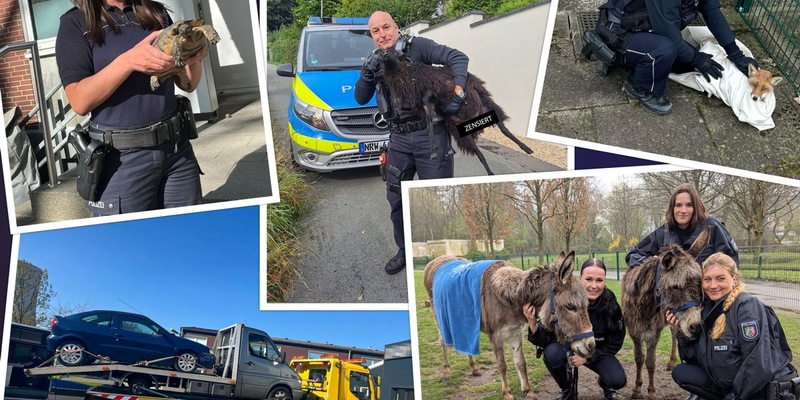 POL-BO: Rückblick 2025: Neun verrückte Polizeigeschichten aus Bochum, Herne und Witten - Foto: presseportal.de