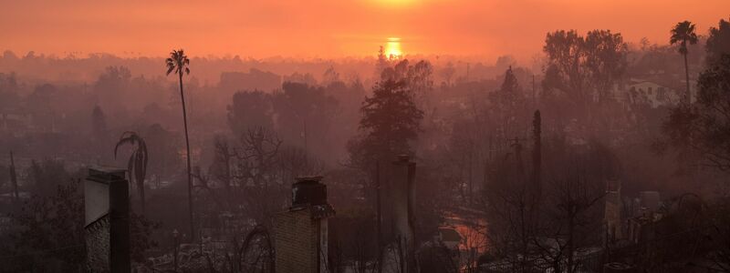 Die Verwüstung durch das Palisades-Feuer in Los Angeles. (Archivbild) - Foto: Jae C. Hong/AP/dpa