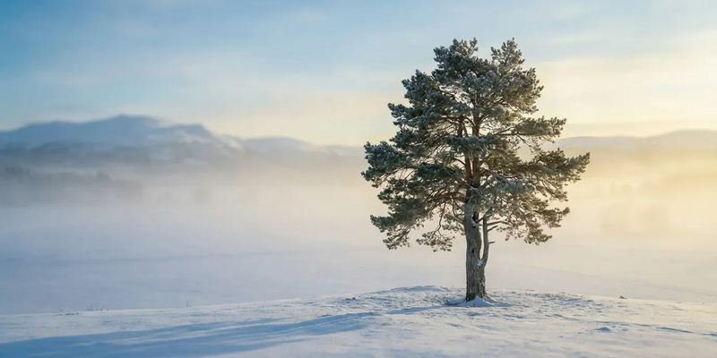 Mentale Gesundheit: Sieben neue Gewohnheiten gegen den Winter-Blues - Foto: über boerse-global.de