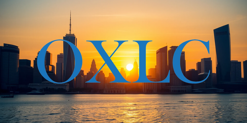 Oxford Lane Capital: A Focus on Upcoming Dividend Distribution - Foto: über boerse-global.de