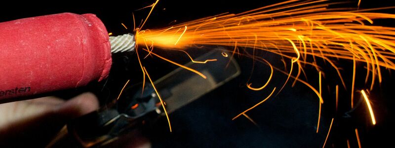 Genaue Zahlen dazu, wie viele Tiere in der Silvesternacht in panischer Flucht verletzt werden oder sterben, gibt es nicht. (Archivbild) - Foto: Patrick Pleul/dpa-Zentralbild/dpa