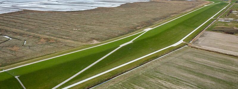 Die Situation im Wattenmeer ist einer Studie zufolge ernster als bisher angenommen. (Archivbild) - Foto: Sina Schuldt/dpa