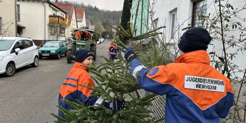 FW Weinheim: Jugendfeuerwehr Weinheim sammelt wieder ausgediente Christbäume ein - Foto: presseportal.de