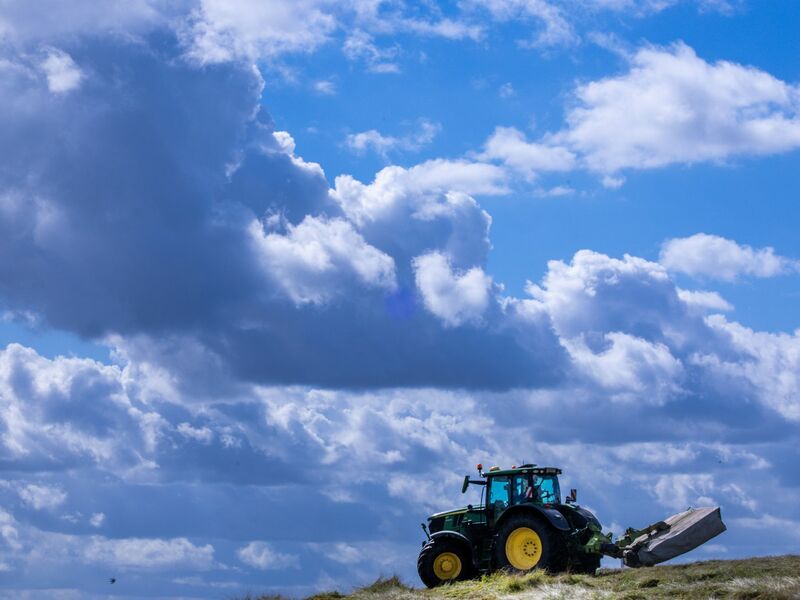 Es lohnt sich oft nicht: Die Produktionskosten für Agrarprodukte liegen teils über den Verkaufspreisen. (Archivbild) - Foto: Jens Büttner/dpa