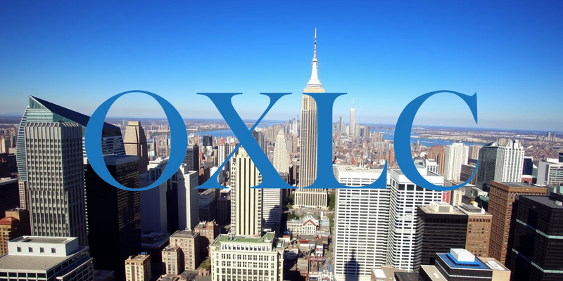 Oxford Lane Capital: Un Dividendo Excepcional que Invita al Análisis - Foto: über boerse-global.de