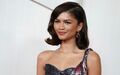 Mittlerweile ein gefragter Hollywood-Star: «Euphoria»-Schauspielerin Zendaya. (Archivbild) - Foto: Jordan Strauss/Invision via AP/dpa