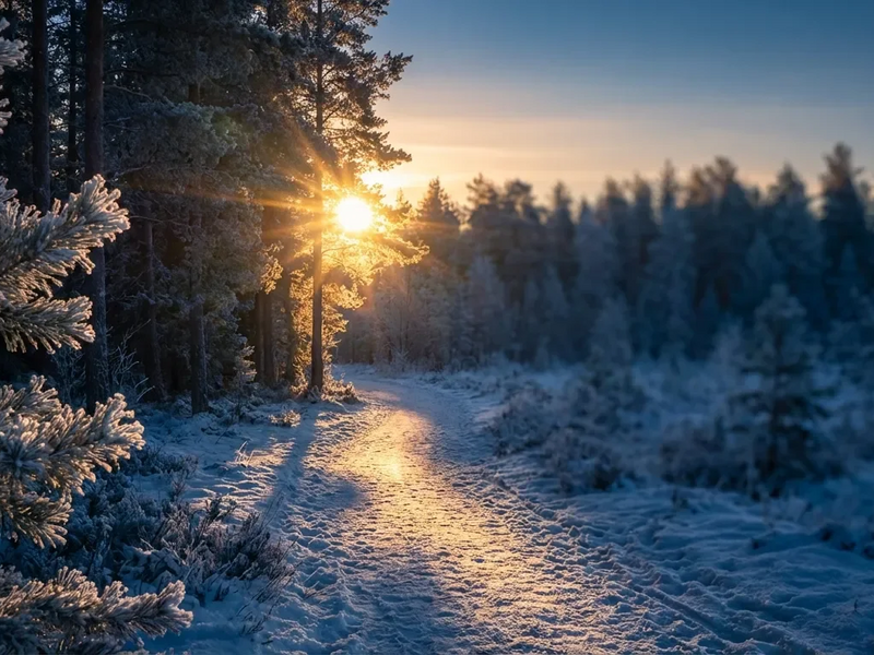 Perihel 2026: Astronomie löst neuen Wellness-Trend aus - Foto: über boerse-global.de