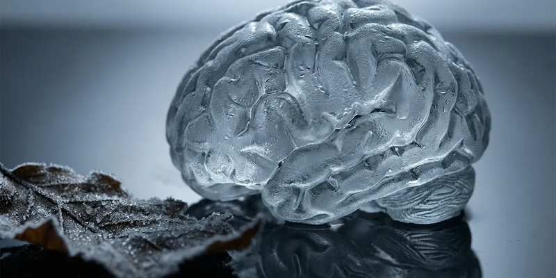 Biowetter belastet Konzentration und Stimmung - Foto: über boerse-global.de