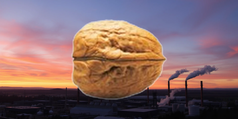 PSI Software Aktie: Dynamische Marktbedingungen - Foto: über boerse-global.de