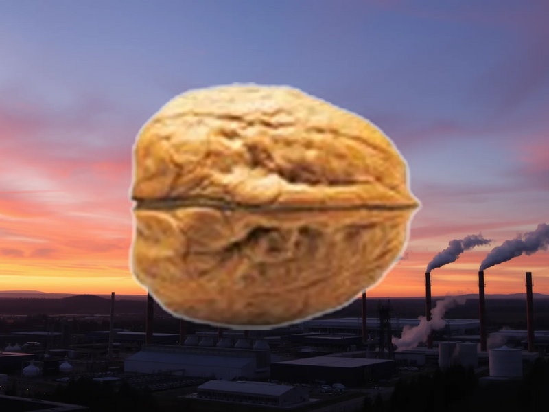 PSI Software Aktie: Dynamische Marktbedingungen - Foto: über boerse-global.de