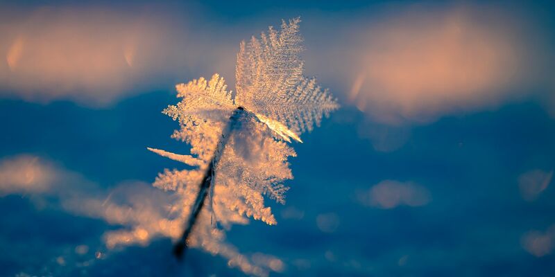 Eisige Temperaturen können für Menschen ohne Wohnung lebensgefährlich sein.  - Foto: Patrick Pleul/dpa