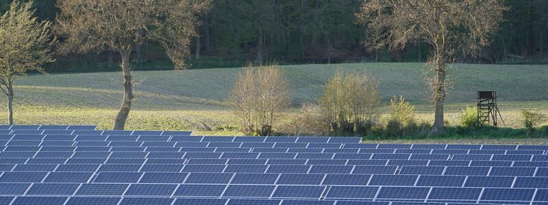 In Deutschland werden immer mehr Solaranlagen gebaut. (Archivbild) - Foto: Marcus Brandt/dpa