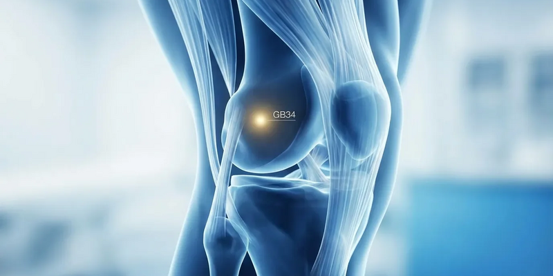 Akupressur-Punkt GB34: Biologischer Wirkmechanismus gegen Sehnenleiden entschlüsselt - Foto: über boerse-global.de