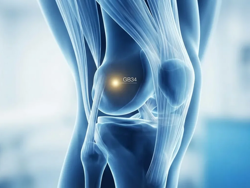 Akupressur-Punkt GB34: Biologischer Wirkmechanismus gegen Sehnenleiden entschlüsselt - Foto: über boerse-global.de