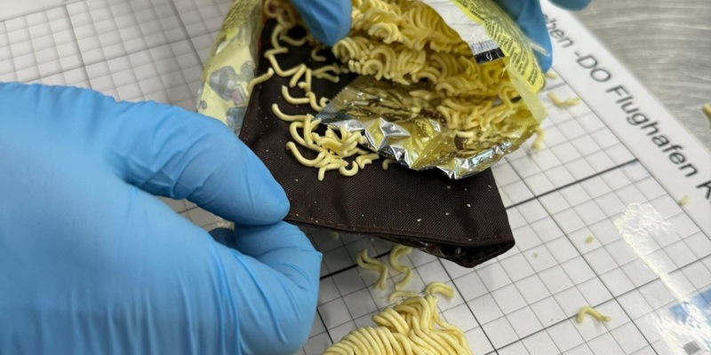 HZA-M: Zoll entdeckt Goldschmuck, versteckt in Instant Nudeln - Foto: presseportal.de