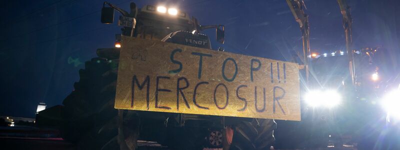 Landwirte befürchten unverhältnismäßige Konkurrenz durch günstige Importe aus Südamerika. - Foto: Philip Dulian/dpa