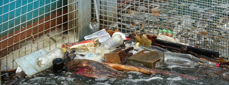 Müll hat sich in den beiden Körben der Müllfalle «RheinKrake» verfangen. (Handout) - Foto: Leandra Hamann/Nature/dpa