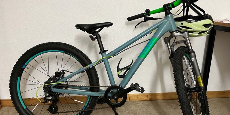 POL-LIP: Horn-Bad Meinberg. Kinderfahrrad gefunden - Eigentümer gesucht. - Foto: presseportal.de