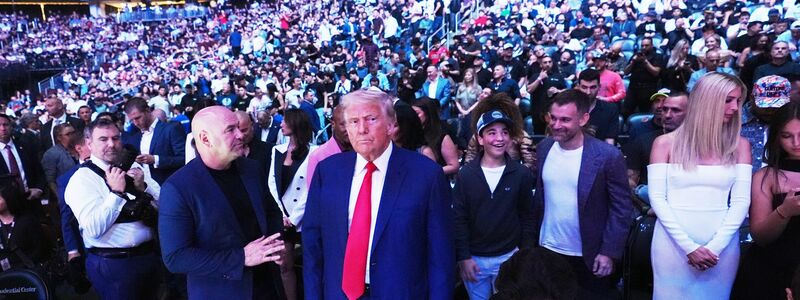 An Trumps 80. Geburtstag soll es auf dem Rasen des Weißen Hauses ein Kampfsport-Spektakel geben. (Archivbild) - Foto: Frank Franklin II/AP/dpa