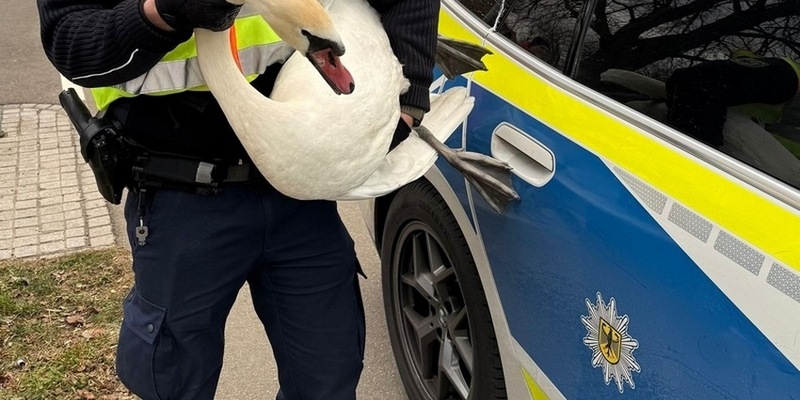 Bundespolizeidirektion München: Brisante Begegnung zwischen Tieren und Zügen / Bundespolizei rettet Schwäne aus Gleisbereich - Foto: presseportal.de