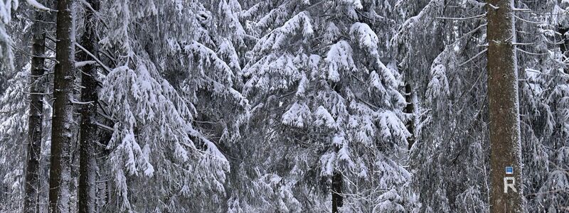Manche genießen den Winterspaziergang, doch für andere ist die anhaltende Kälte eine enorme Belastung. - Foto: Martin Schutt/dpa