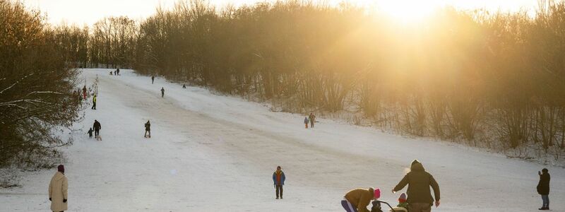 Das Winterwetter hat auch schöne Seiten - wie hier am Teufelsberg in Berlin. - Foto: Christophe Gateau/dpa