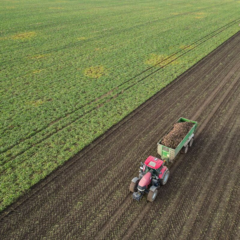 Die Preise für viele Agrarprodukte sind derzeit unter Druck. (Archivbild)  - Foto: Jan Woitas/dpa