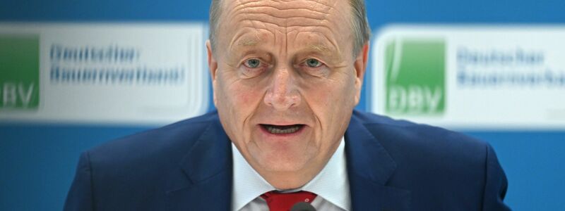 Bauernpräsident Rukwied fordert «frisches Geld» für den Umbau von Ställen. (Archivbild)    - Foto: Elisa Schu/dpa