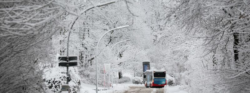 Vielerorts gab es auch im Nahverkehr Probleme. - Foto: Christian Charisius/dpa