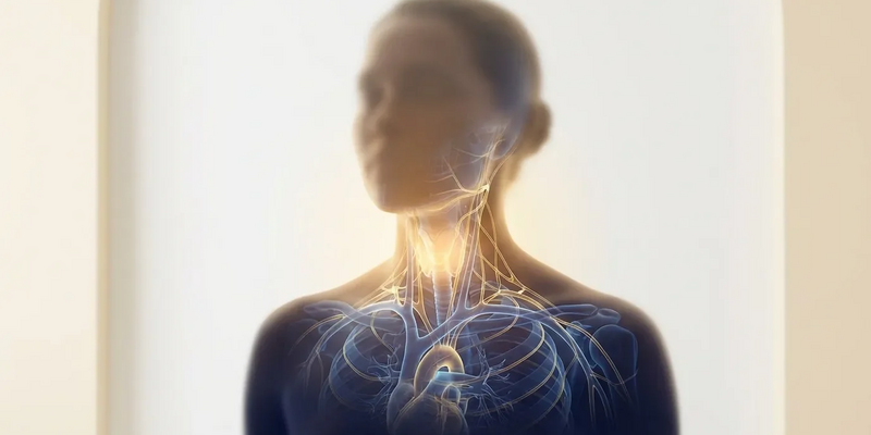 Yoga fürs Gehirn: So steigert Hals-Yoga die Konzentration - Foto: über boerse-global.de