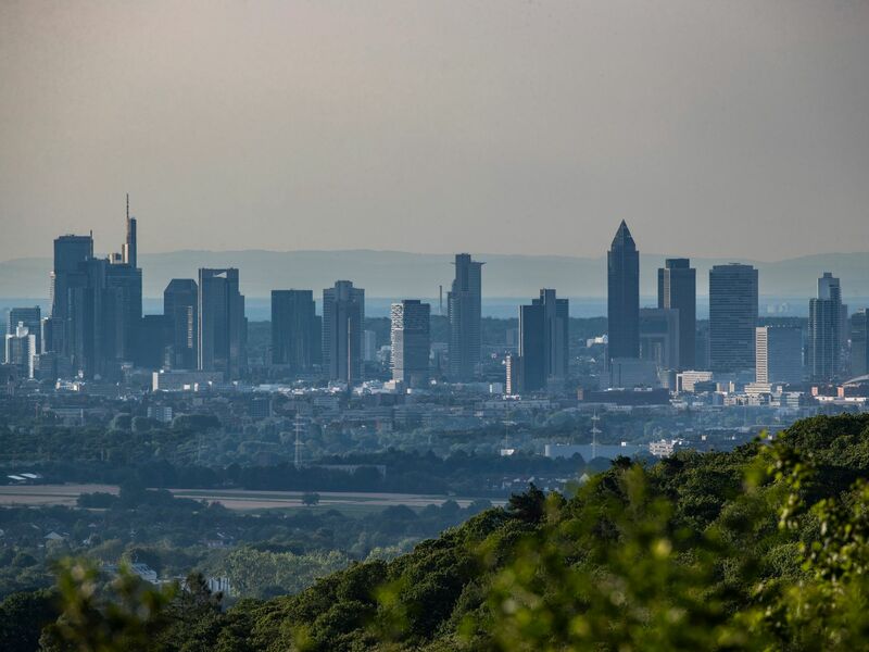Der Umweltverband WWF kritisiert Banken für fehlende Klimaschutzbemühungen - Foto: Helmut Fricke/dpa