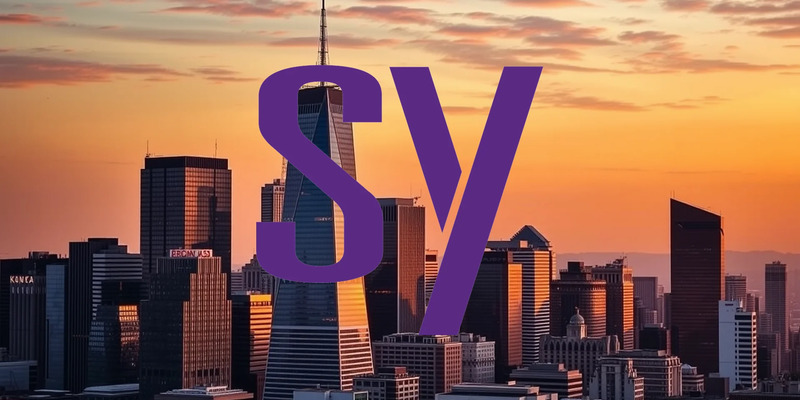 Governance Concerns Cloud Strong Performance for Synopsys - Foto: über boerse-global.de