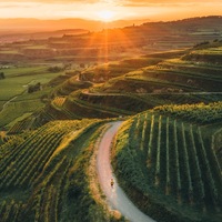 Sehnsuchtsorte im Süden: Erleben, wo Baden-Württemberg berührt - Foto: presseportal.de