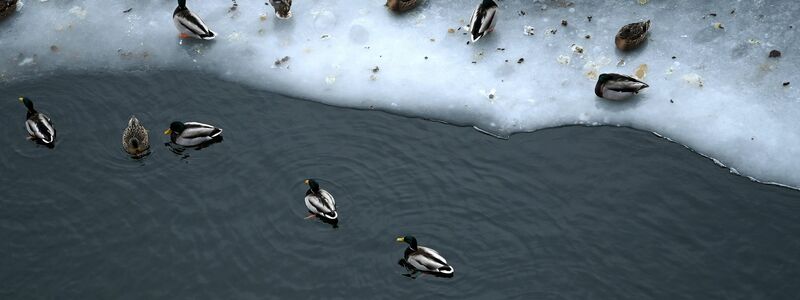 Nun steht vor allem dem Osten Deutschlands Glatteis-Gefahr bevor. - Foto: Elisa Schu/dpa