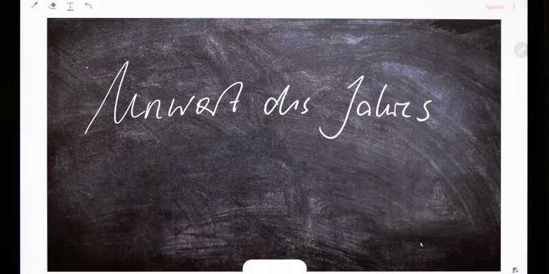 Das «Unwort des Jahres» wird seit 1991 von einer sprachkritischen Aktion bestimmt - an diesem Dienstag gibt die Jury bekannt, welchen Begriff sie im vergangenen Jahr besonders kritisch fand.  - Foto: Christian Lademann/dpa