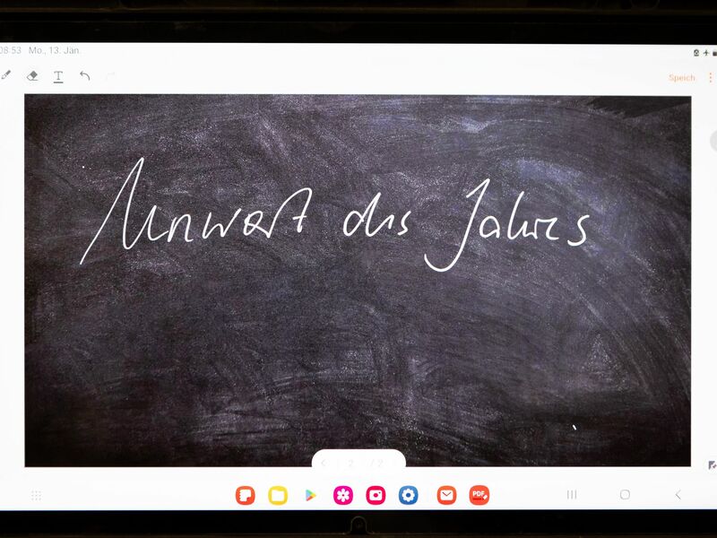 Das «Unwort des Jahres» wird seit 1991 von einer sprachkritischen Aktion bestimmt - an diesem Dienstag gibt die Jury bekannt, welchen Begriff sie im vergangenen Jahr besonders kritisch fand.  - Foto: Christian Lademann/dpa