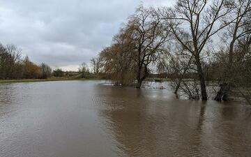 Hochwasser (Archiv) - Foto: via dts Nachrichtenagentur