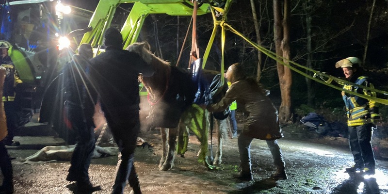 FW-BO: Gestürztes Pferd in Höntrop: Feuerwehr Bochum leistet Unterstützung - Foto: presseportal.de