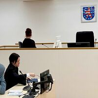 Die Angeklagte wurde des Totschlags für schuldig gesprochen und erhielt eine Bewährungsstrafe. (Archivbild) - Foto: Annett Gehler/dpa