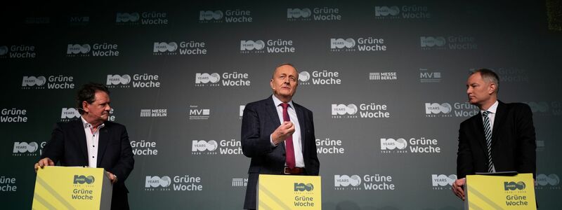 Die Landwirtschaft steht zu Beginn der Agrarmesse Grüne Woche unter Druck. - Foto: Sebastian Christoph Gollnow/dpa