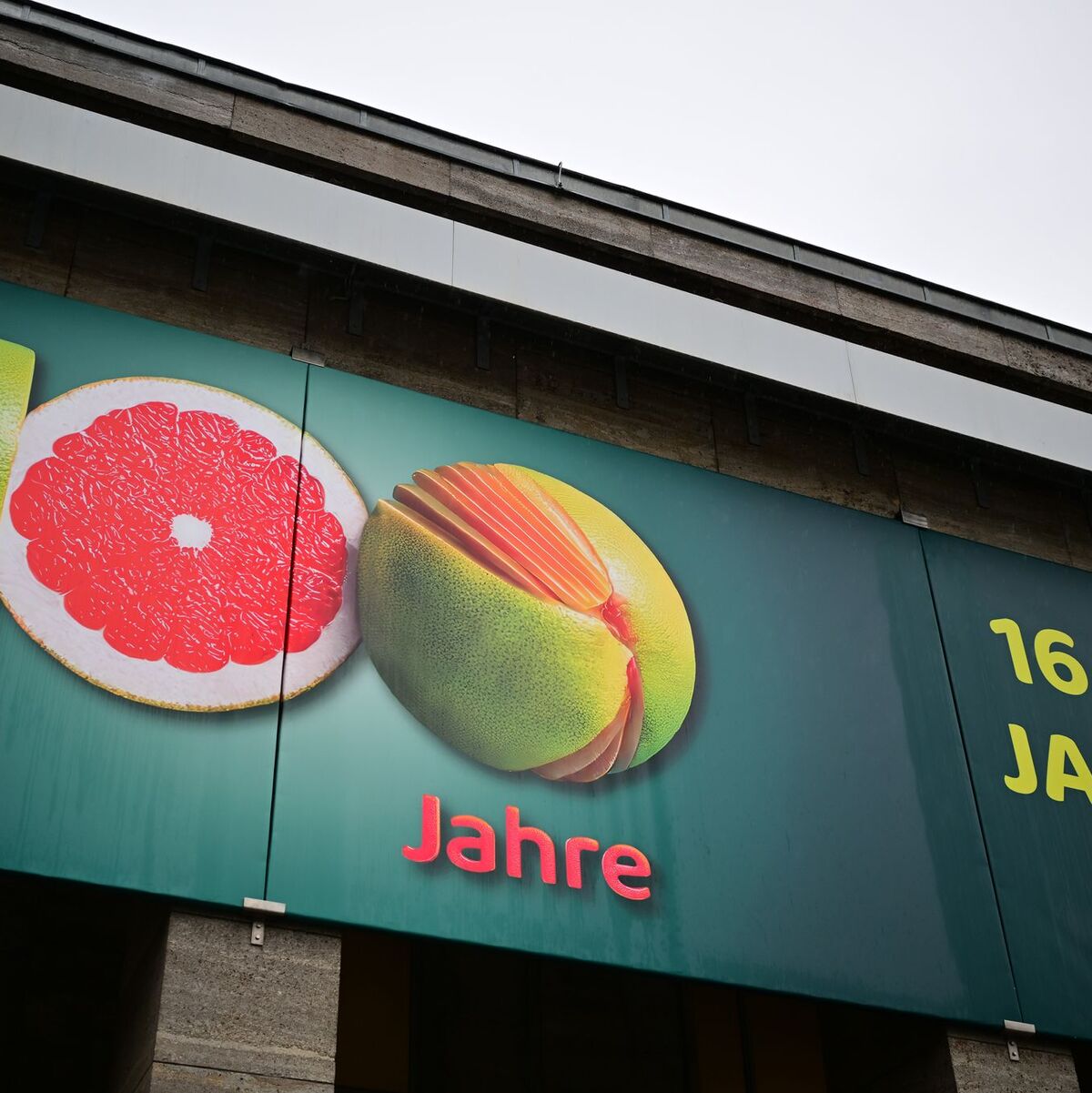 Nachhaltigere Tierhaltungsformen sind ebenfalls Thema auf der Grünen Woche.  - Foto: Sebastian Christoph Gollnow/dpa