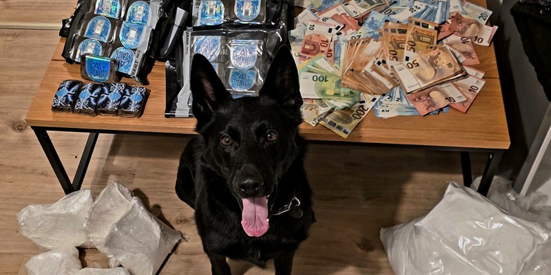 POL-OF: Verdacht des Handeltreibens mit Cannabis: Zwei Tatverdächtige in Untersuchungshaft - Foto: presseportal.de