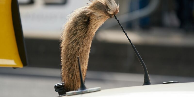 Der Fuchsschanz war für viele Fahrer des Opel Manta unverzichtbar.  - Foto: Thomas Frey/dpa