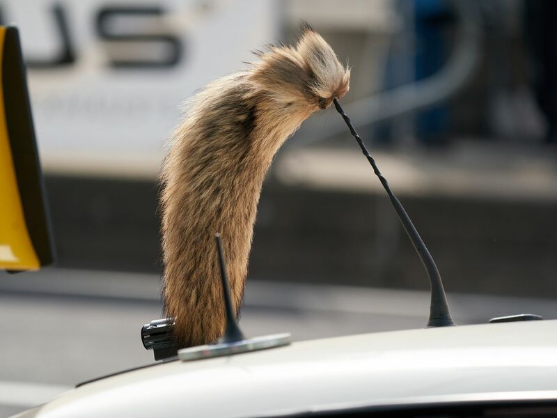 Der Fuchsschanz war für viele Fahrer des Opel Manta unverzichtbar.  - Foto: Thomas Frey/dpa
