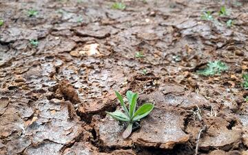Von der Leyen will an EU-Klimazielen festhalten