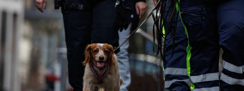 Auch ein Hund war bei der Suche im Einsatz. - Foto: Hannes P. Albert/dpa