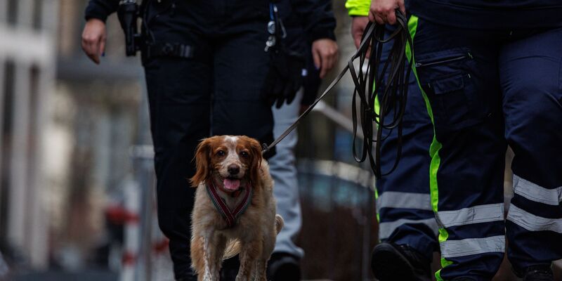 Nach dem verschwundenen Jungen wurde auch mit Spürhunden gesucht.  - Foto: Hannes P. Albert/dpa