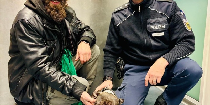 BPOL-HH: Einsatz am Hamburger Hauptbahnhof: Französische Bulldogge Candy sicher zurück bei seinem Besitzer - Foto: presseportal.de