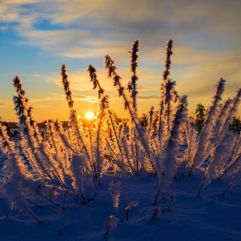 Sonne und kalte Luft erwarten die Meteorologen zum Wochenbeginn. (Archivbild) - Foto: Patrick Pleul/dpa